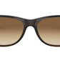 New Wayfarer Classic RB2132 tortoise light brown