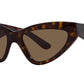 DG 4439 502/73 Tortoise Brown