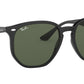 RB4306 601/71 black
