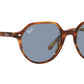Thalia RB2195 954/62 striped havana
