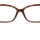 TF2249 8002 Havana