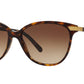 BE4216 300213 Brown