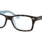 RY1531 3701 Tortoise