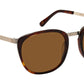 Brude Sun Burnt Torotise Gold