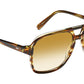 Sheister Sun Bamboo