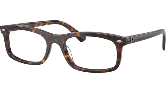 RB5450 Optics 2012