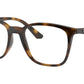 RB7177 Optics 2012