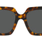 VE4434 511987 tortoise