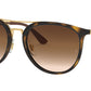 RB4285 tortoise and brown