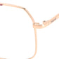 PLD D554 EYR