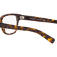 PR 04YV tortoise