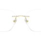 RB8783D Optics 1251