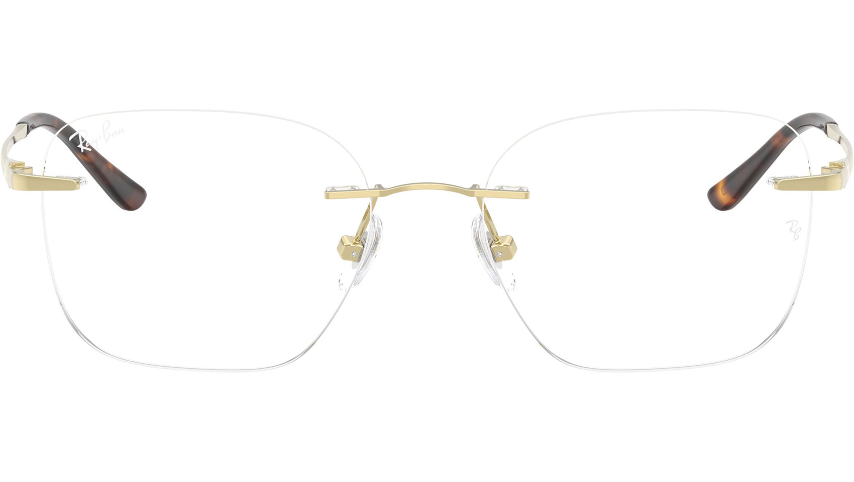 RB8783D Optics 1251