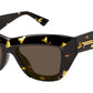 BV1218S 002 shiny tortoise