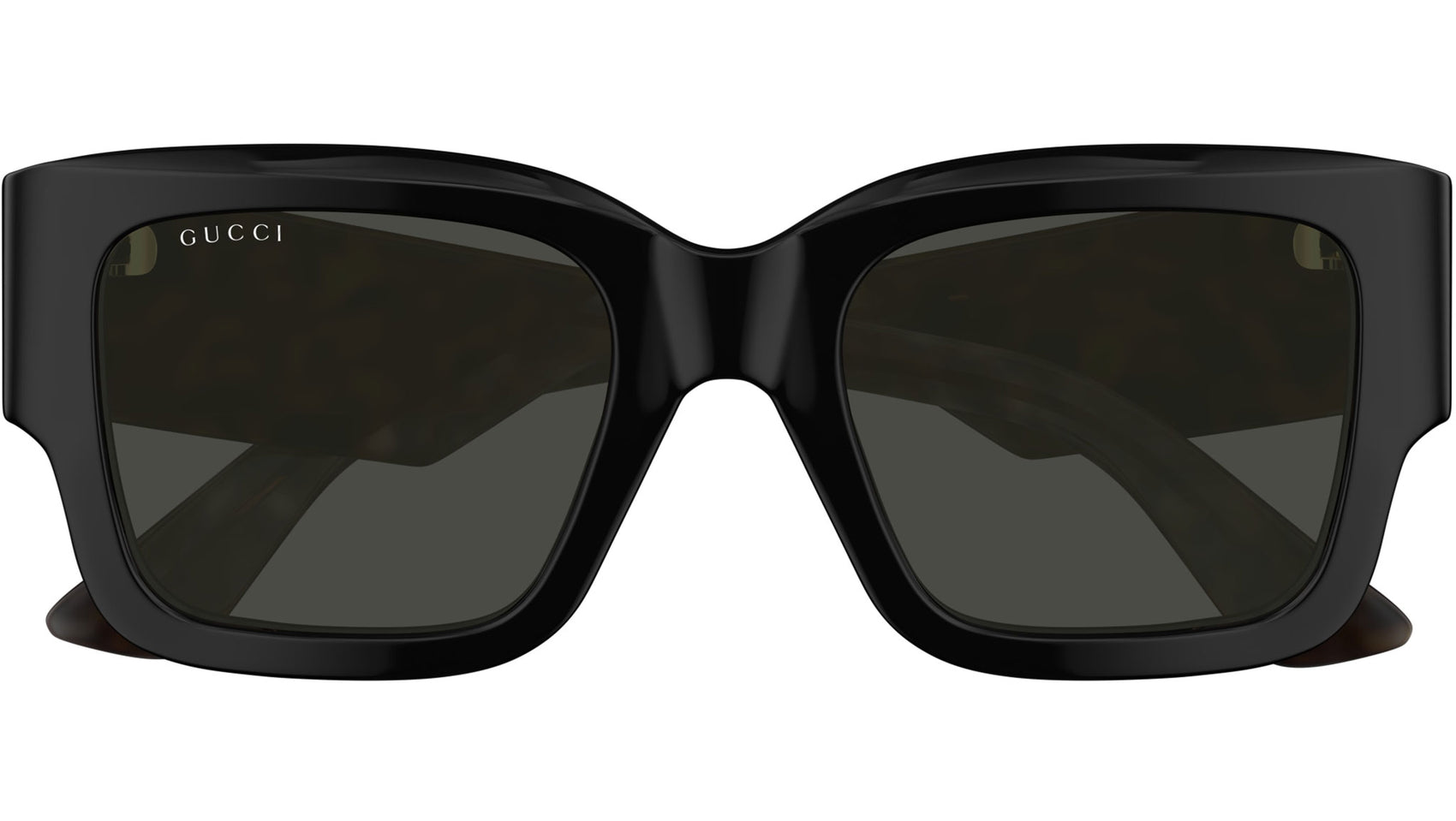 GG1663S 001