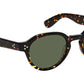 Ezra Sun Dark Havana