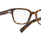 PR 04YV tortoise