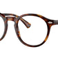 PH4218 613771 Brown Tortoise