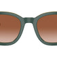 AR 8207 608613 Green