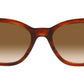 RB0880S 954/51 striped havana