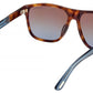 Frances FT1081 53F Havana Blue Brown