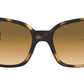 RB4068 tortoise
