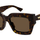 BV1212S 002 dark tortoise
