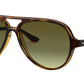 Cats 5000 RB4125 710/A6 light havana