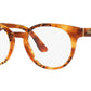 DG 3361 3380 tortoise
