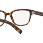 PR 04YV tortoise