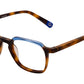 FUJUR HVBL Tortoise