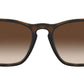 Chris RB4187 tortoise